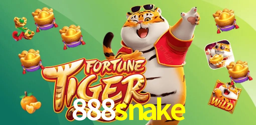 Experiência VIP 888snake