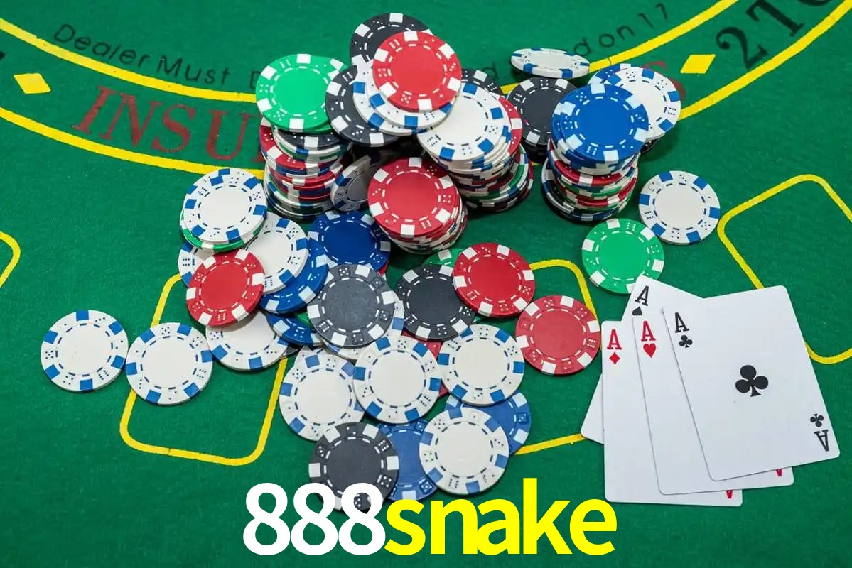 Interface Premium 888snake