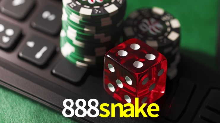 2FA Security 888snake