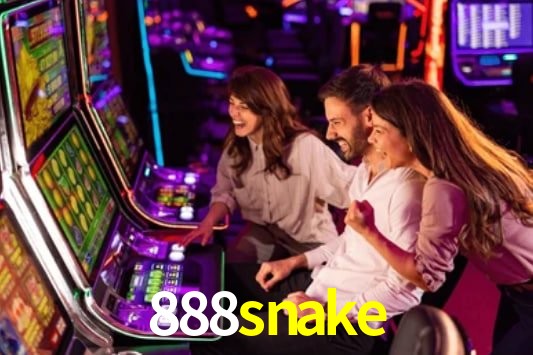 Interface Premium 888snake